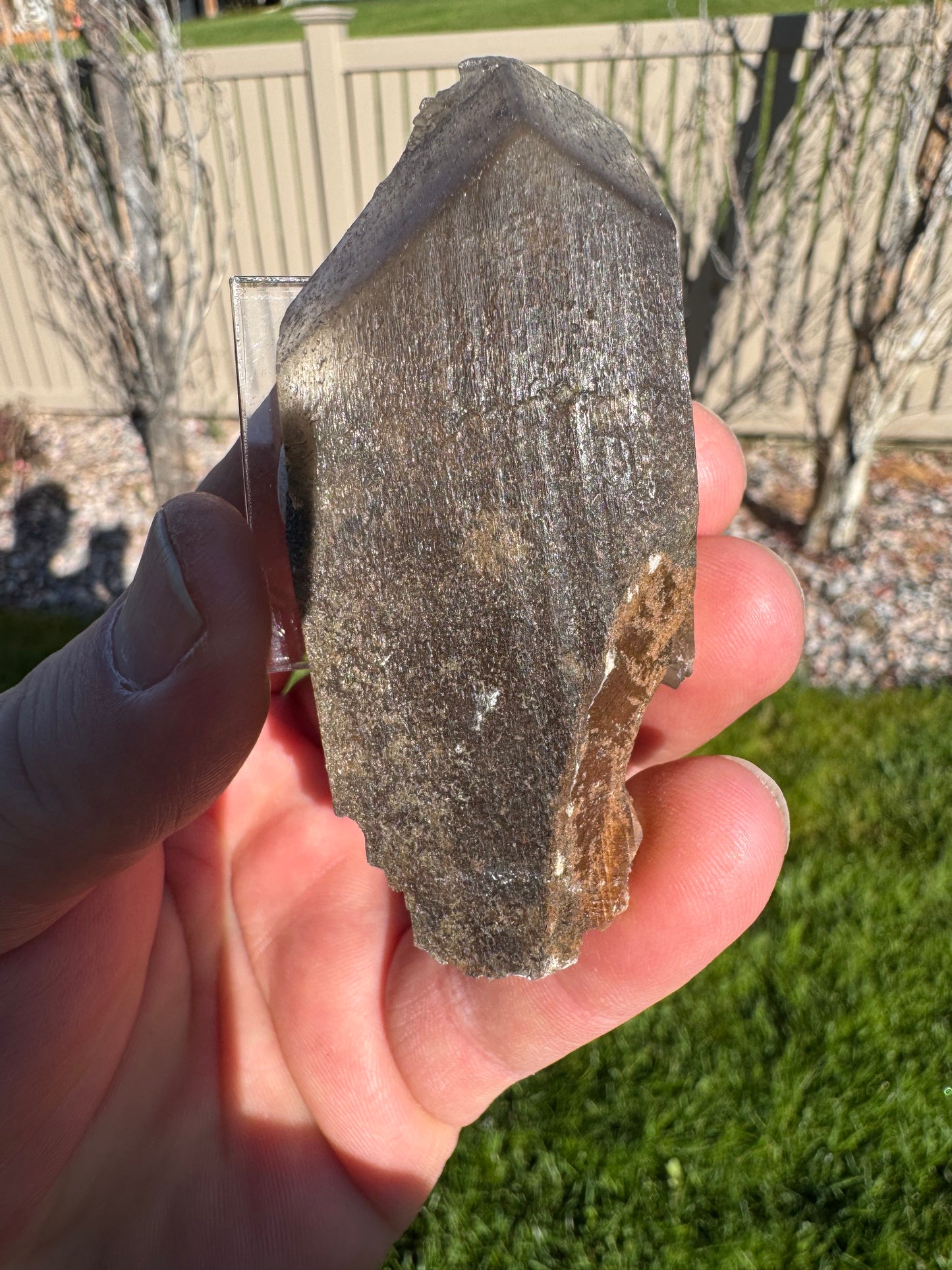 Phantom Selenite from La Platosa mine in Bermejillo Durango Mex 56 Grams