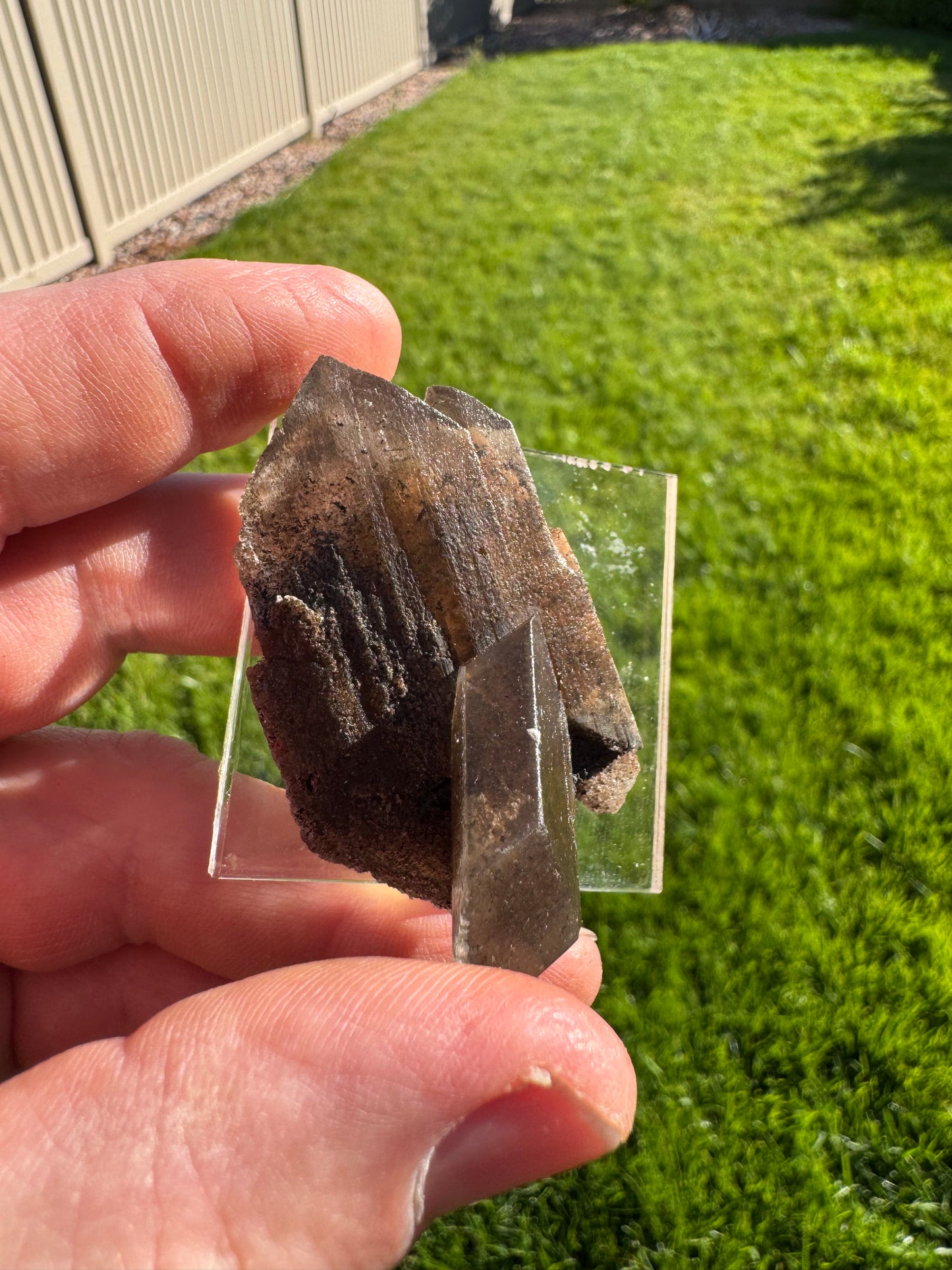 Phantom Selenite from La Platosa mine in Bermejillo Durango Mex 27 grams