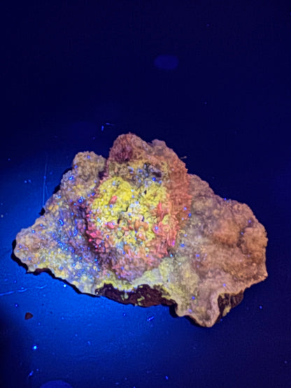 Willemite from La Ojuela mine, Mapimi, Durango Mexico. 103 Grams