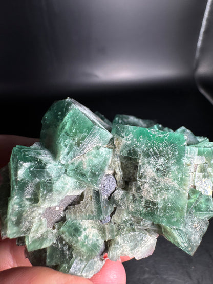 Diana Maria Fluorite Greedy Hog Pocket 169 Grams