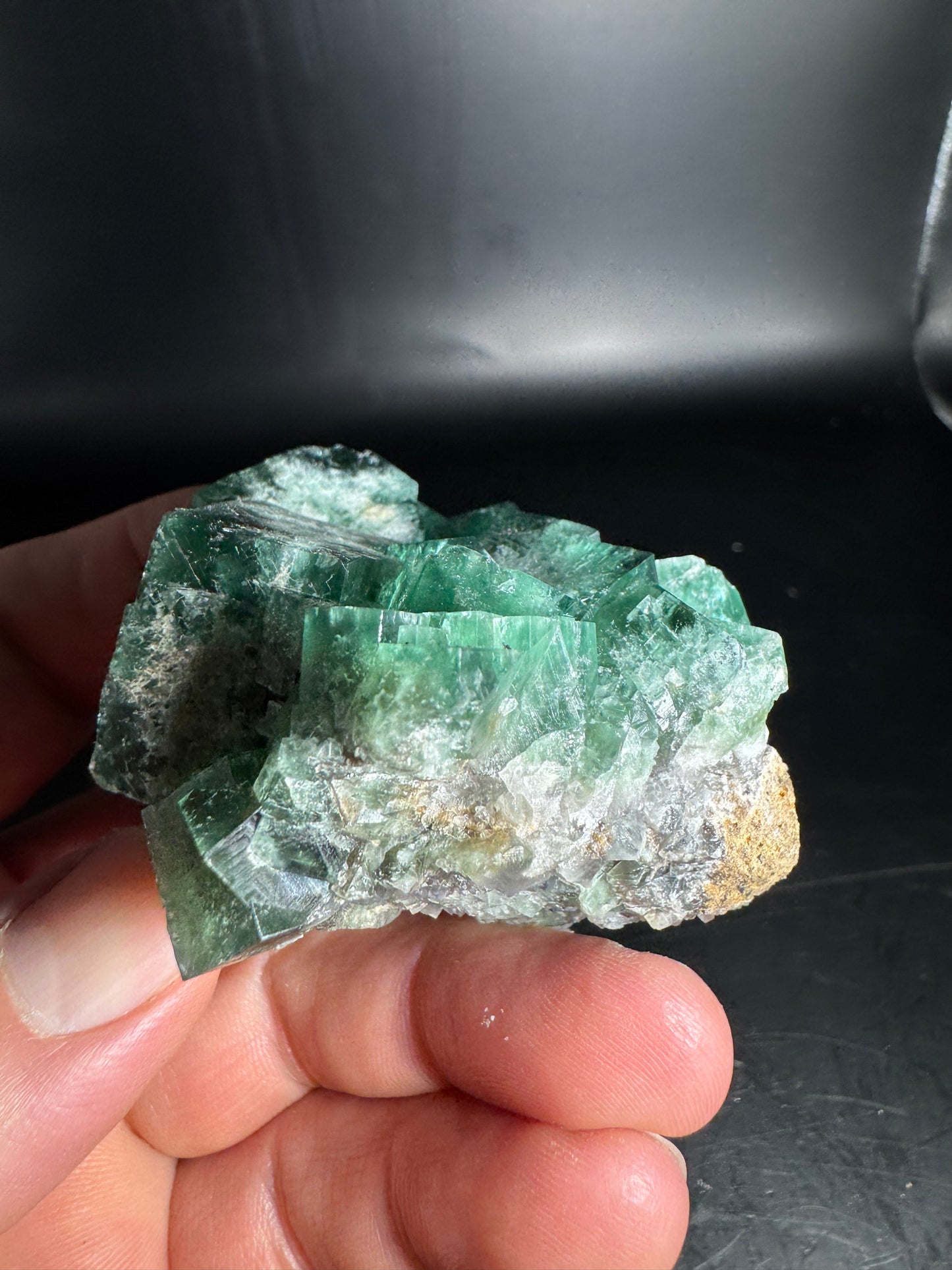 Diana Maria Fluorite Greedy Hog Pocket 169 Grams