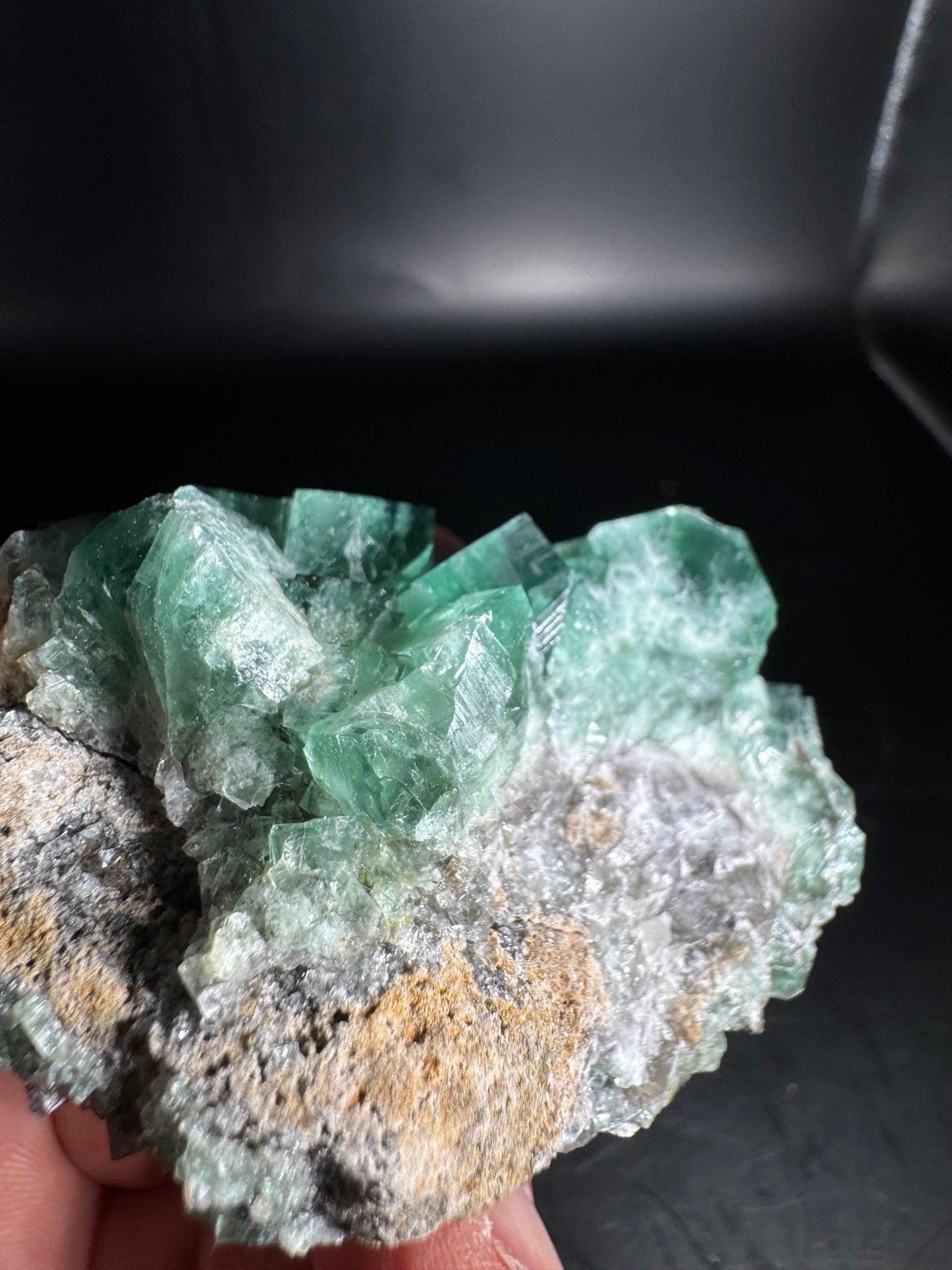 Diana Maria Fluorite Greedy Hog Pocket 169 Grams