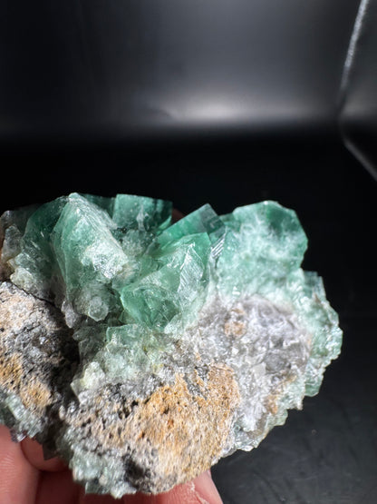 Diana Maria Fluorite Greedy Hog Pocket 169 Grams
