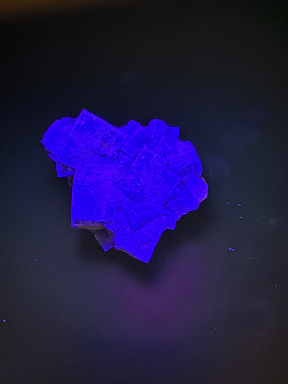 Diana Maria Fluorite Greedy Hog Pocket 169 Grams