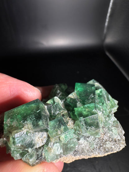 Diana Maria Fluorite Greedy Hog Pocket 89 Grams