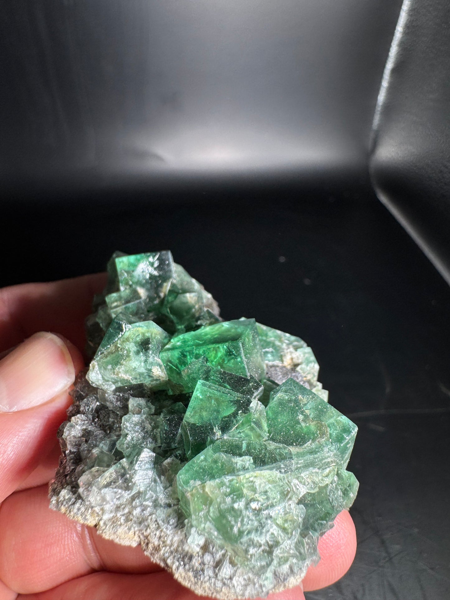 Diana Maria Fluorite Greedy Hog Pocket 89 Grams