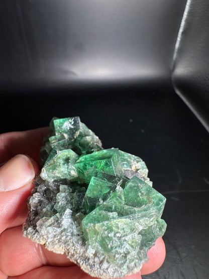 Diana Maria Fluorite Greedy Hog Pocket 89 Grams