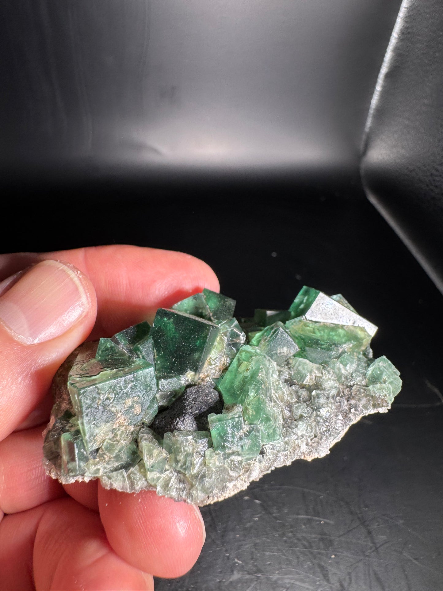 Diana Maria Fluorite Greedy Hog Pocket 89 Grams