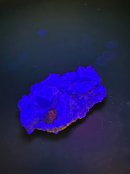 Diana Maria Fluorite Greedy Hog Pocket 89 Grams