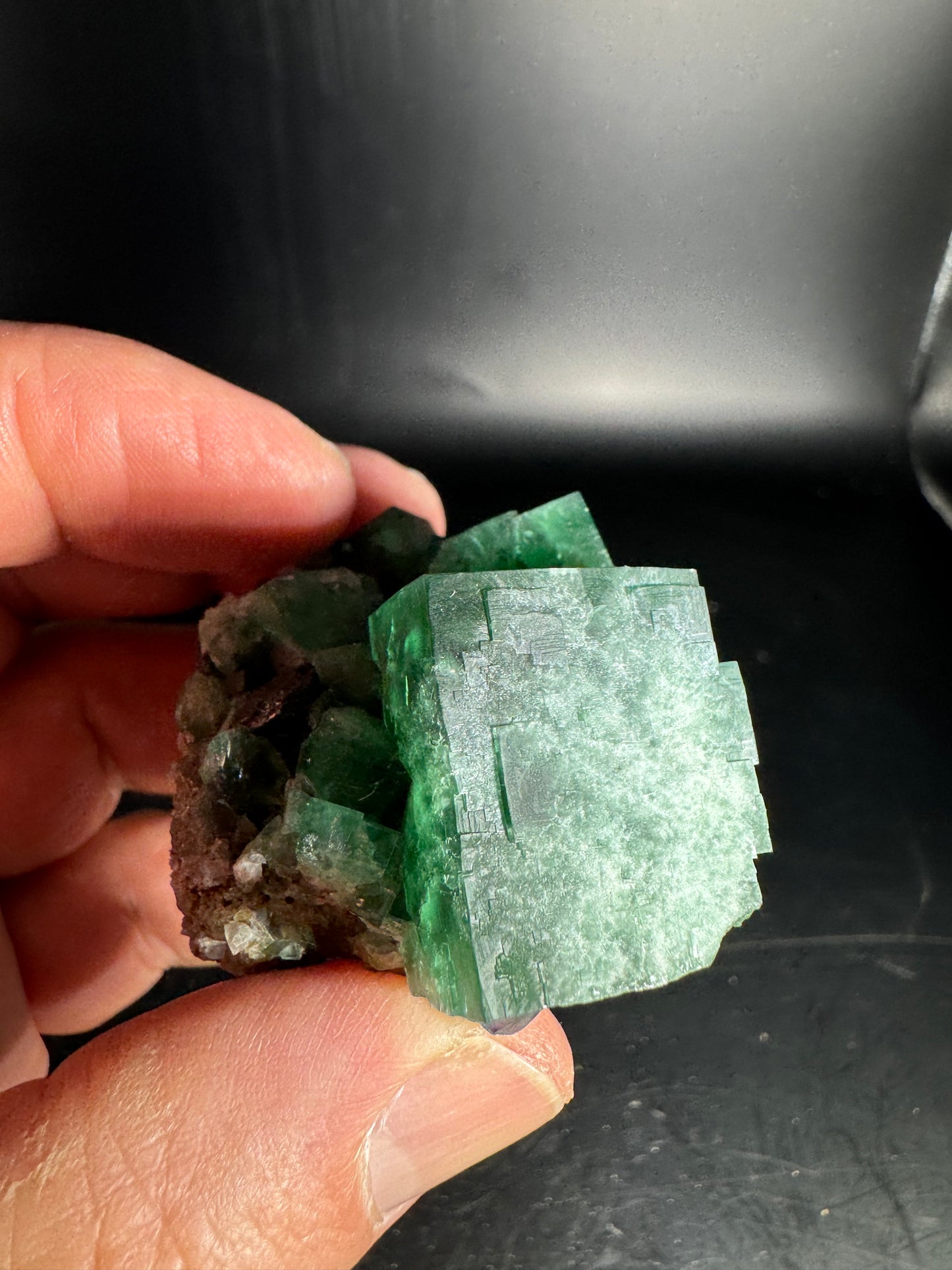 Diana Maria Fluorite Greedy Hog Pocket 125 Grams