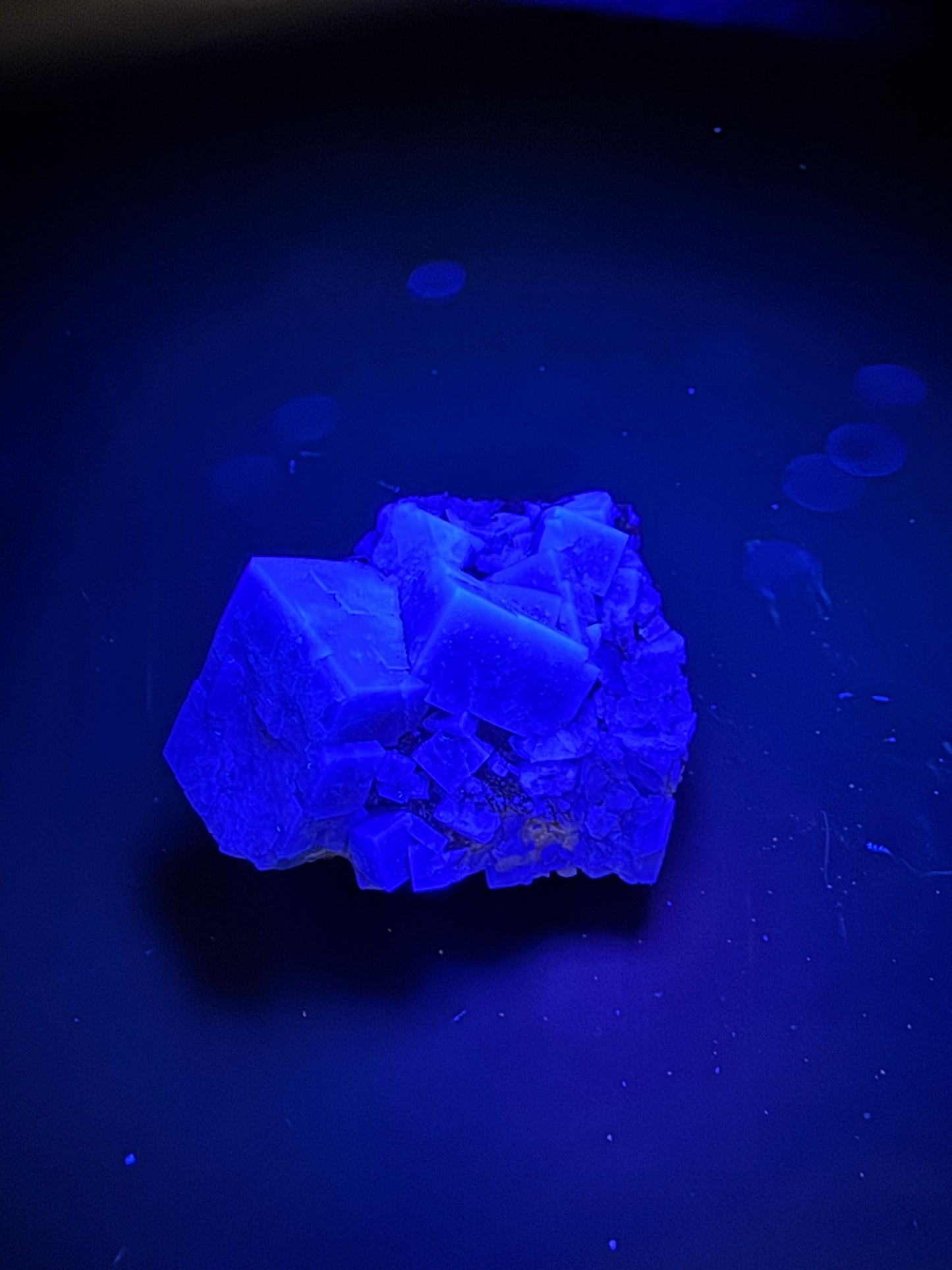 Diana Maria Fluorite Greedy Hog Pocket 125 Grams