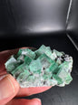 Diana Maria Fluorite Greedy Hog Pocket 132 Grams