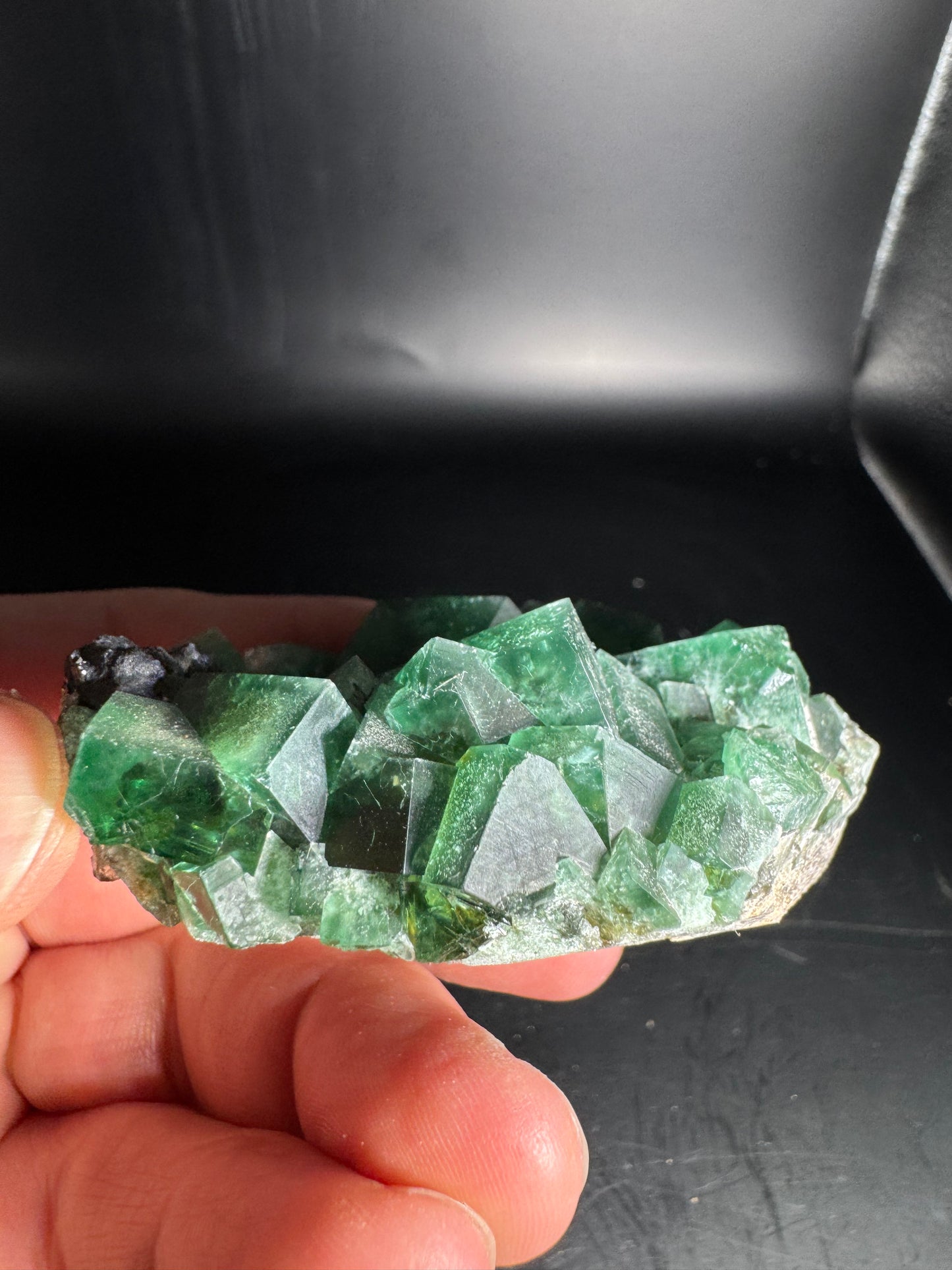 Diana Maria Fluorite Greedy Hog Pocket 132 Grams