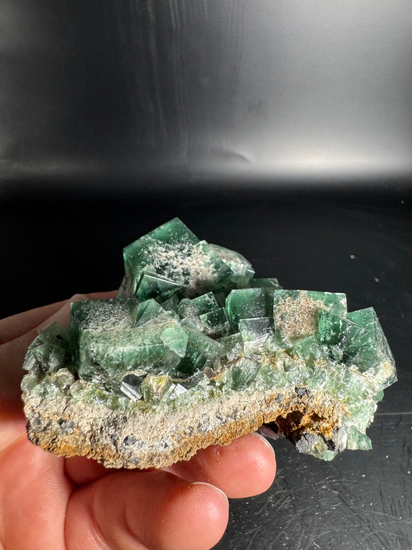 Diana Maria Fluorite Greedy Hog Pocket 256 Grams