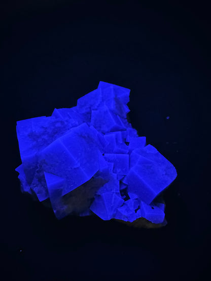 Diana Maria Fluorite Greedy Hog Pocket 256 Grams