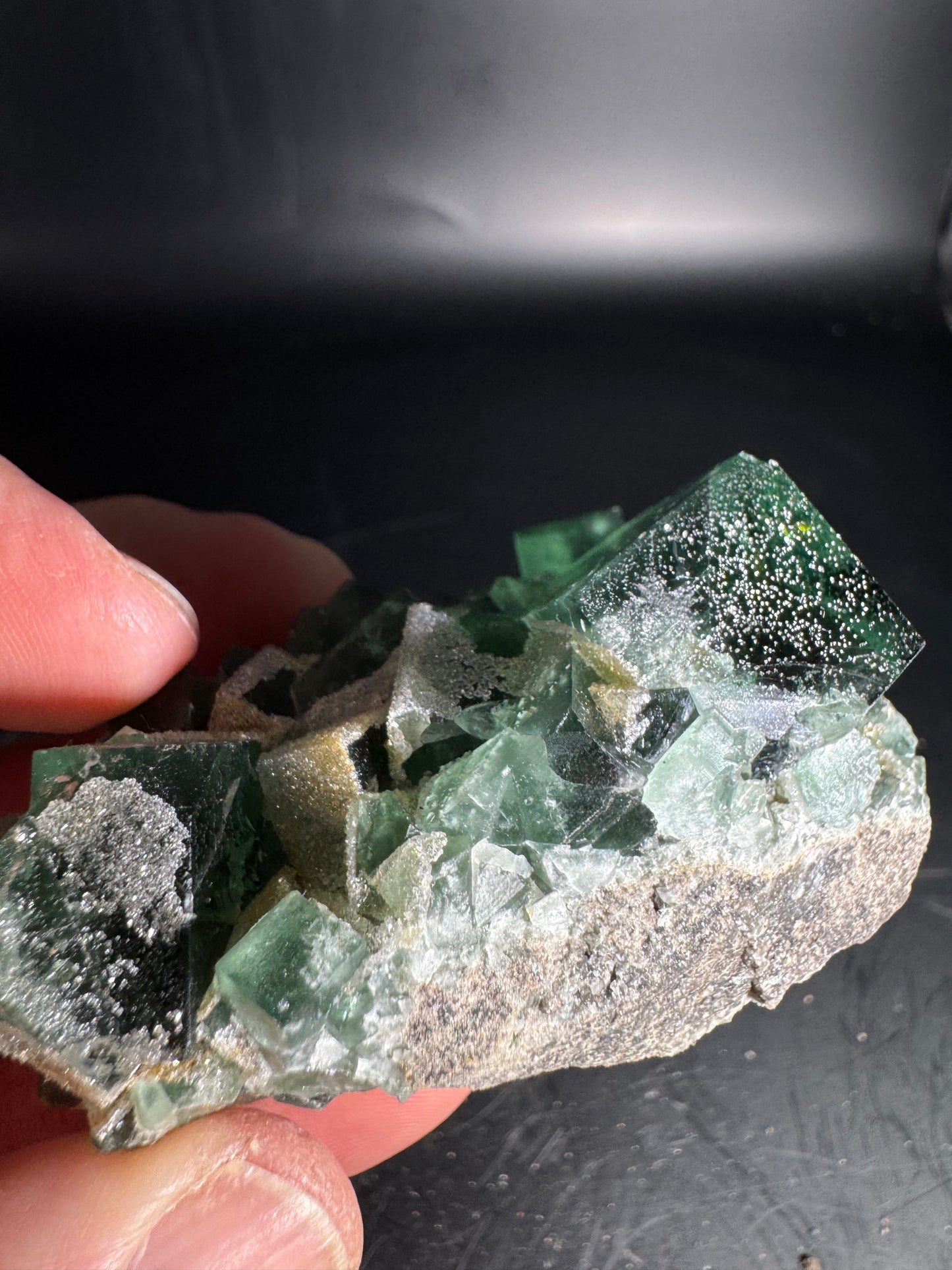 Diana Maria Fluorite Greedy Hog Pocket 136 Grams