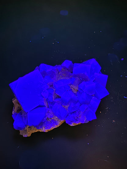 Diana Maria Fluorite Greedy Hog Pocket 136 Grams