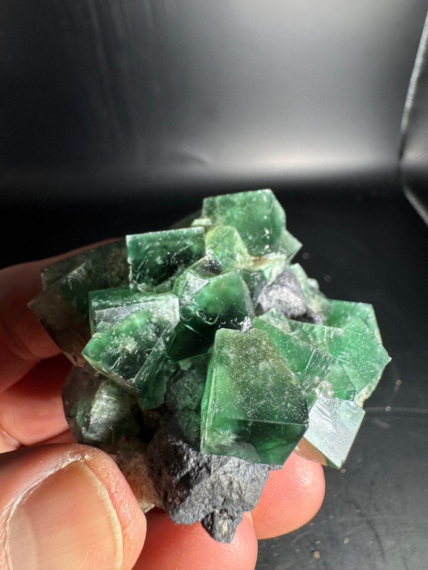 Diana Maria Fluorite Greedy Hog Pocket 201 Grams