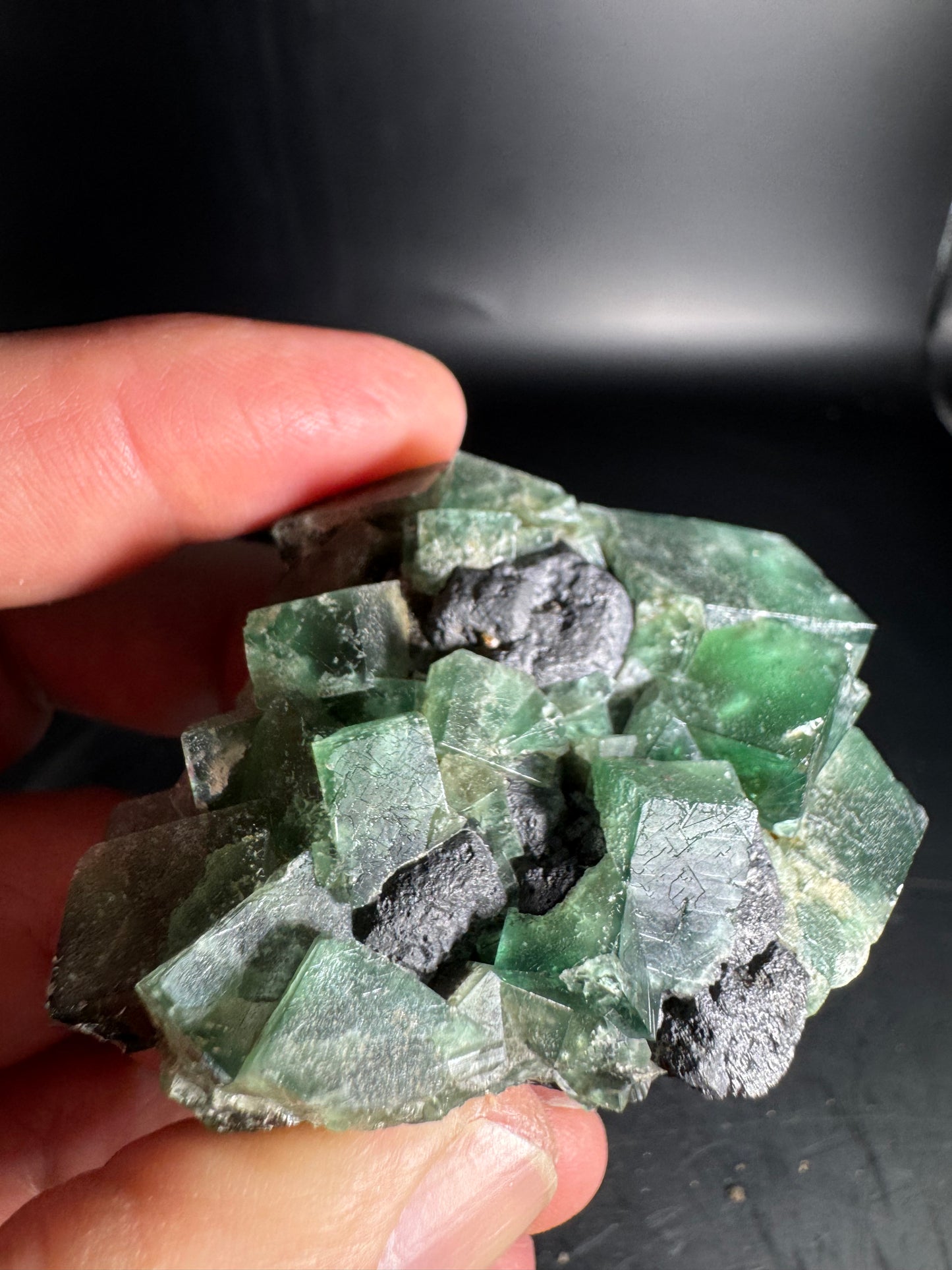 Diana Maria Fluorite Greedy Hog Pocket 201 Grams