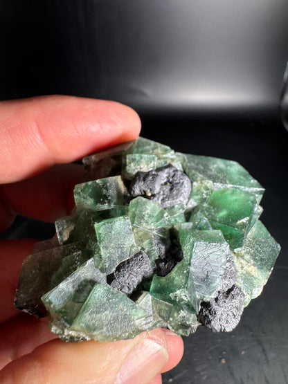 Diana Maria Fluorite Greedy Hog Pocket 201 Grams