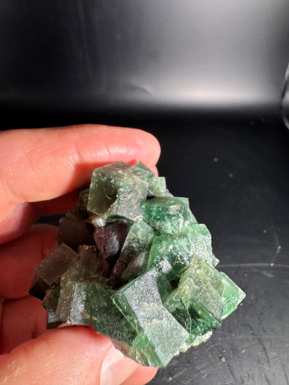 Diana Maria Fluorite Greedy Hog Pocket 201 Grams