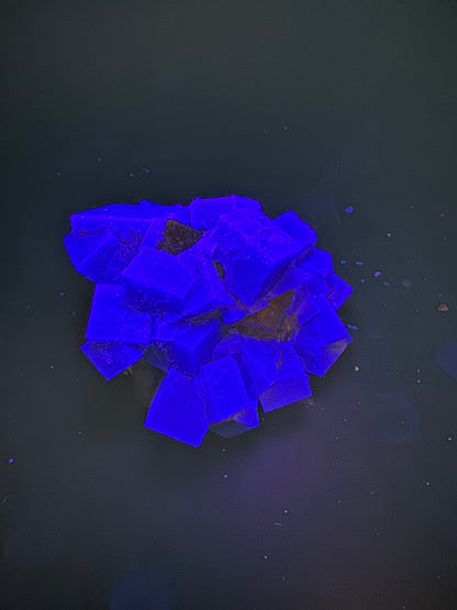 Diana Maria Fluorite Greedy Hog Pocket 201 Grams