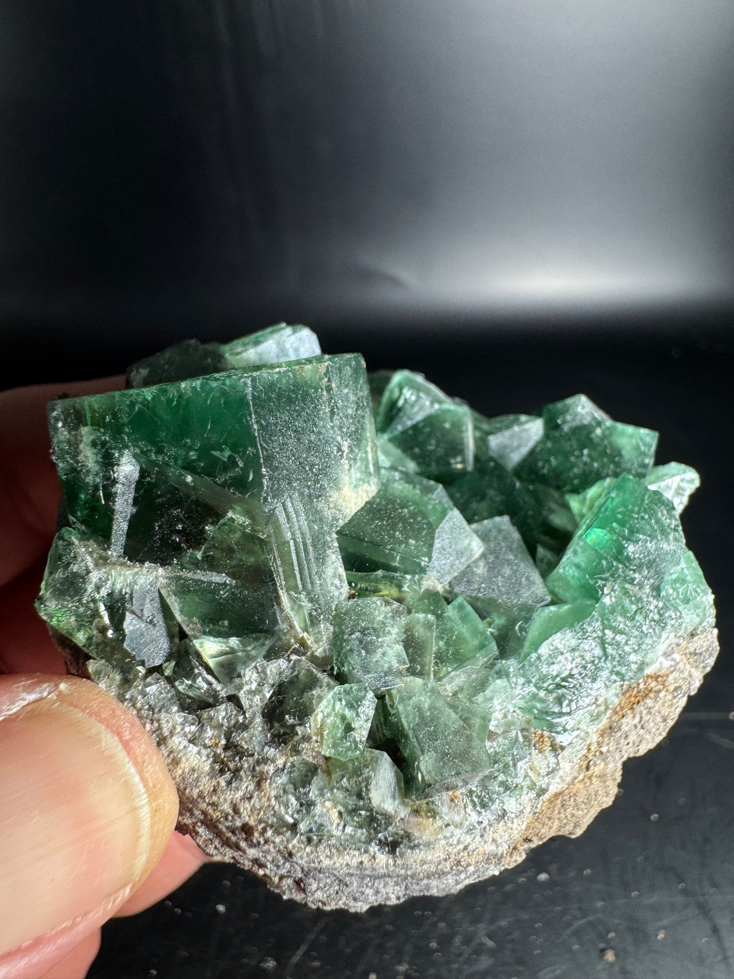 Diana Maria Fluorite Greedy Hog Pocket 234 Grams
