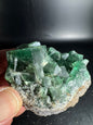 Diana Maria Fluorite Greedy Hog Pocket 234 Grams
