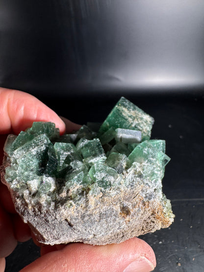 Diana Maria Fluorite Greedy Hog Pocket 234 Grams