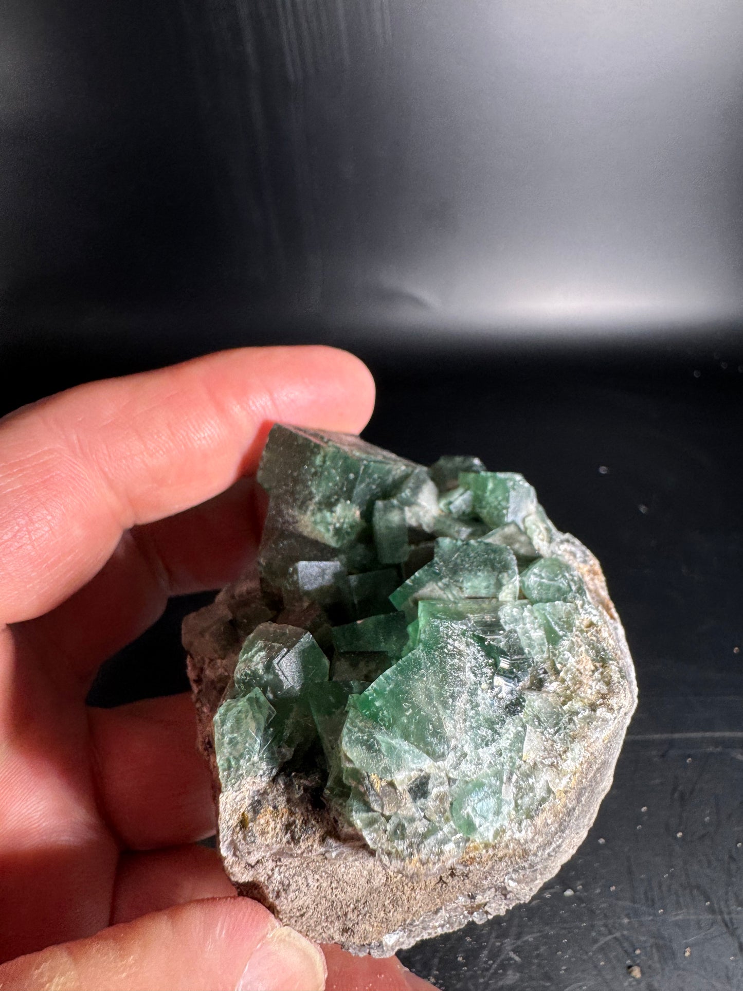 Diana Maria Fluorite Greedy Hog Pocket 234 Grams