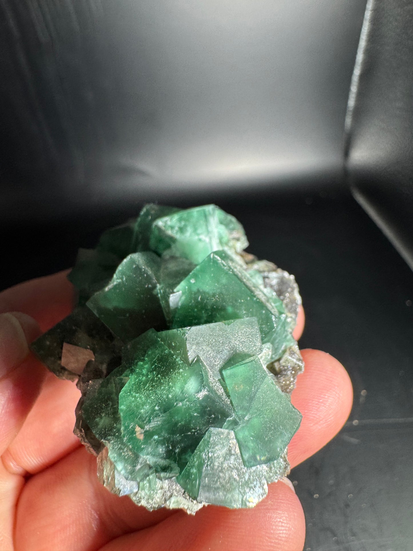 Diana Maria Fluorite Greedy Hog Pocket 106 Grams