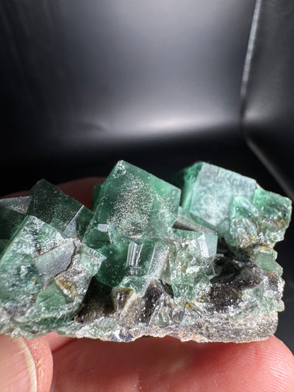Diana Maria Fluorite Greedy Hog Pocket 106 Grams