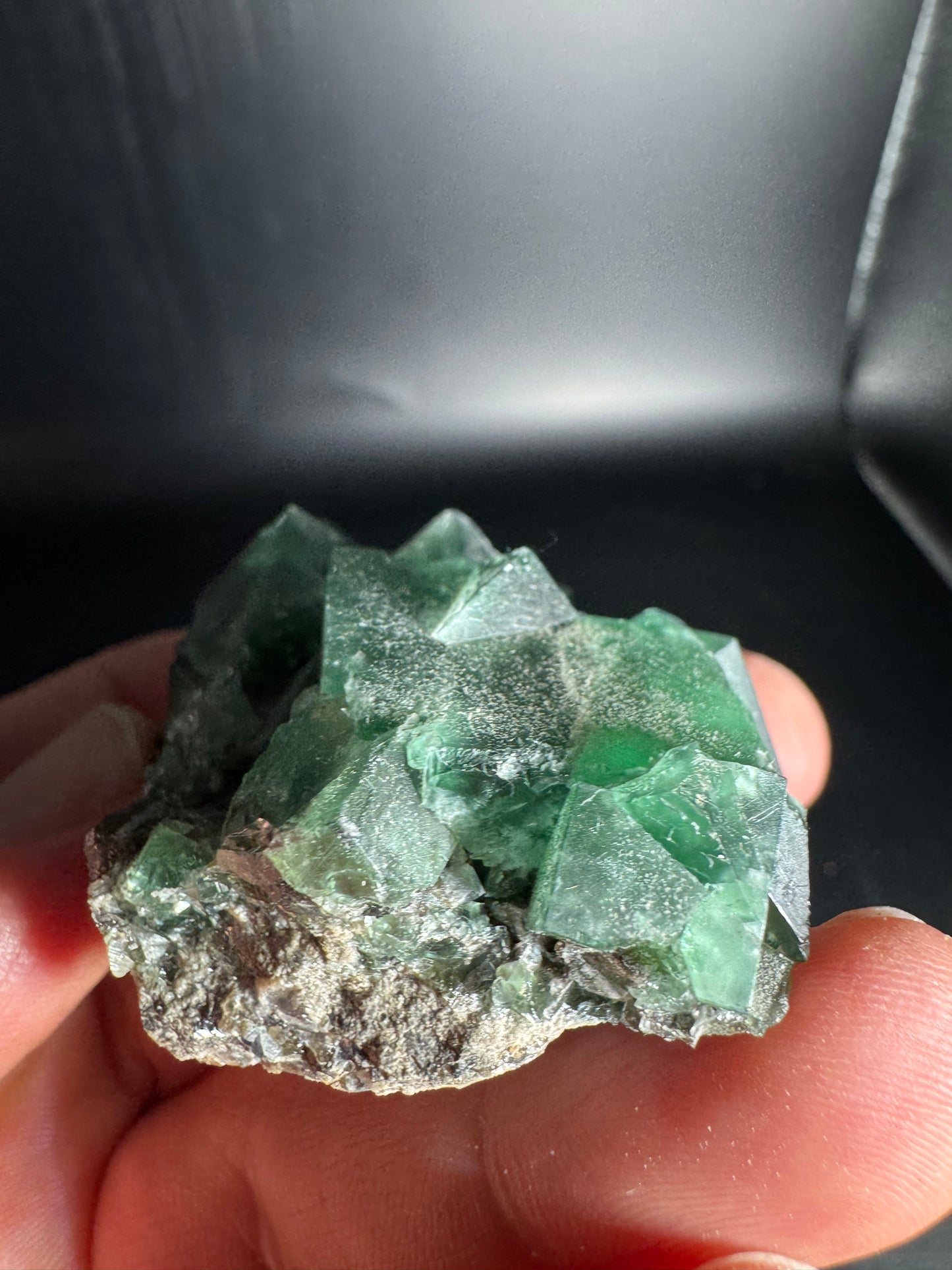 Diana Maria Fluorite Greedy Hog Pocket 106 Grams