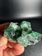 Diana Maria Fluorite Greedy Hog Pocket 161 Grams