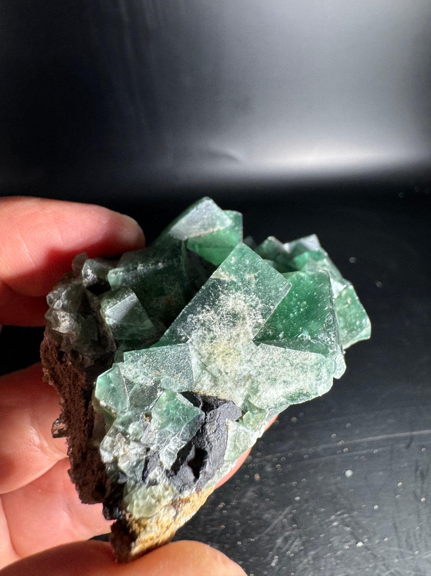Diana Maria Fluorite Greedy Hog Pocket 161 Grams