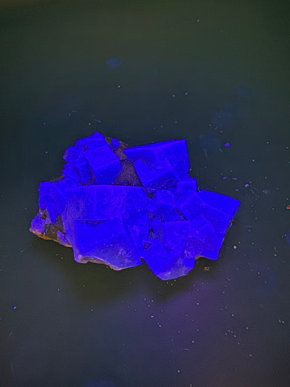 Diana Maria Fluorite Greedy Hog Pocket 161 Grams