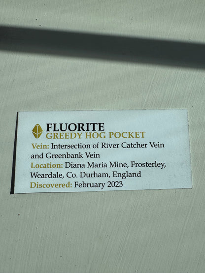 Diana Maria Fluorite Greedy Hog Pocket 125 Grams