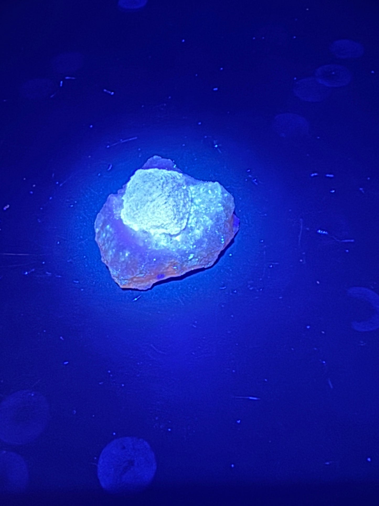 Navidad Fluorite Rodeo, Durango, Mex 27 Grams