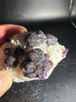 Navidad Fluorite Rodeo, Durango, Mex 269 Grams