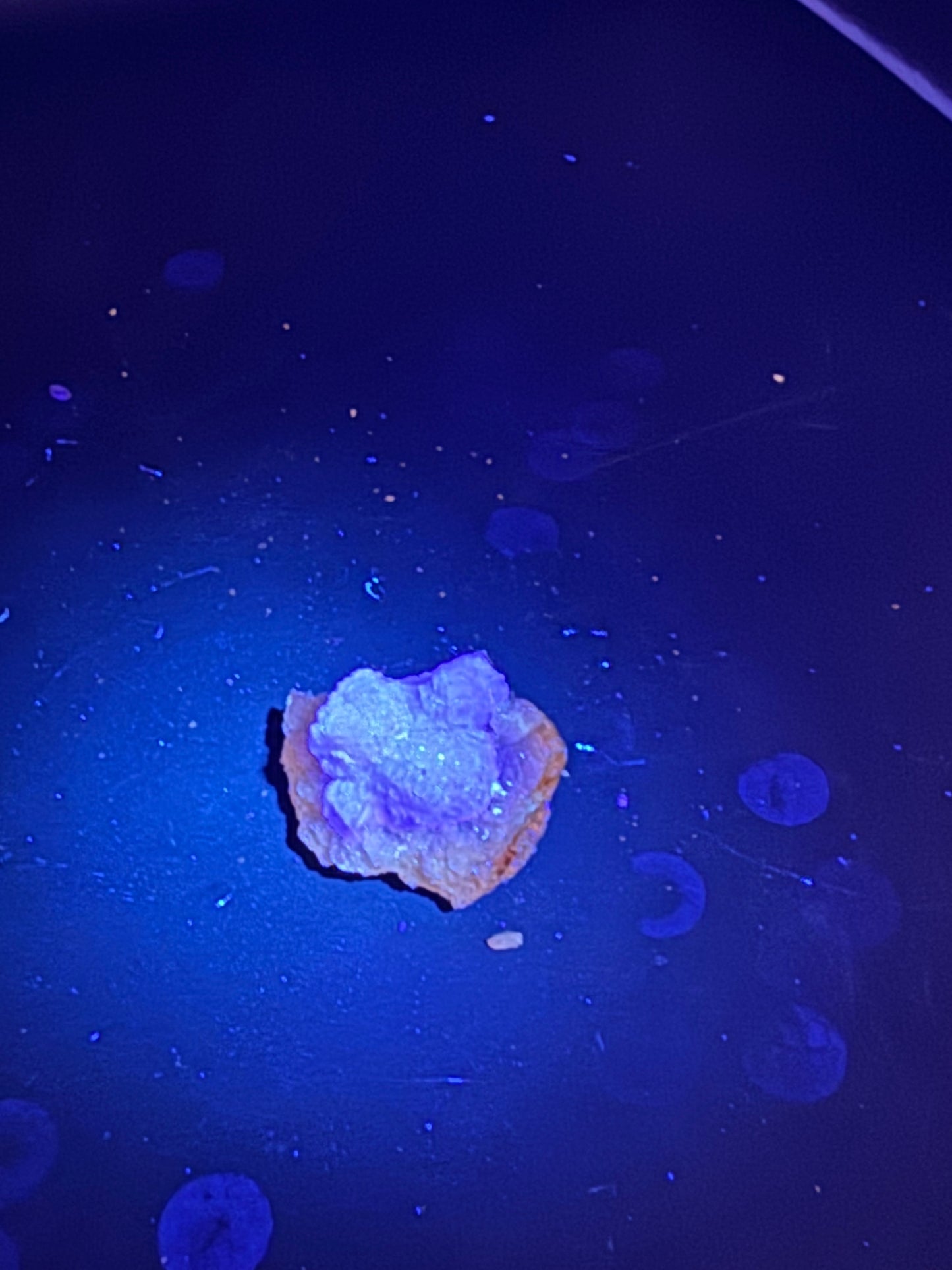 Navidad Fluorite Rodeo, Durango, Mex 28 Grams