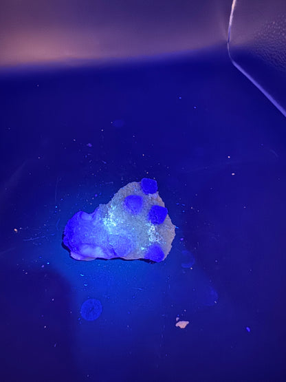 Navidad Fluorite Rodeo, Durango, Mex 99 Grams