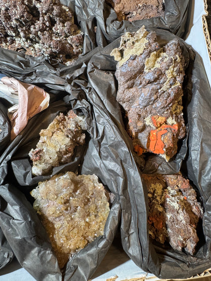 Willemite on Goethite 11 pcs Wholesale La Ojuela Mine Mapimi Durango Mex