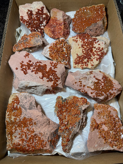 Vanadinite Wholesale flat 11 piece from Morocco