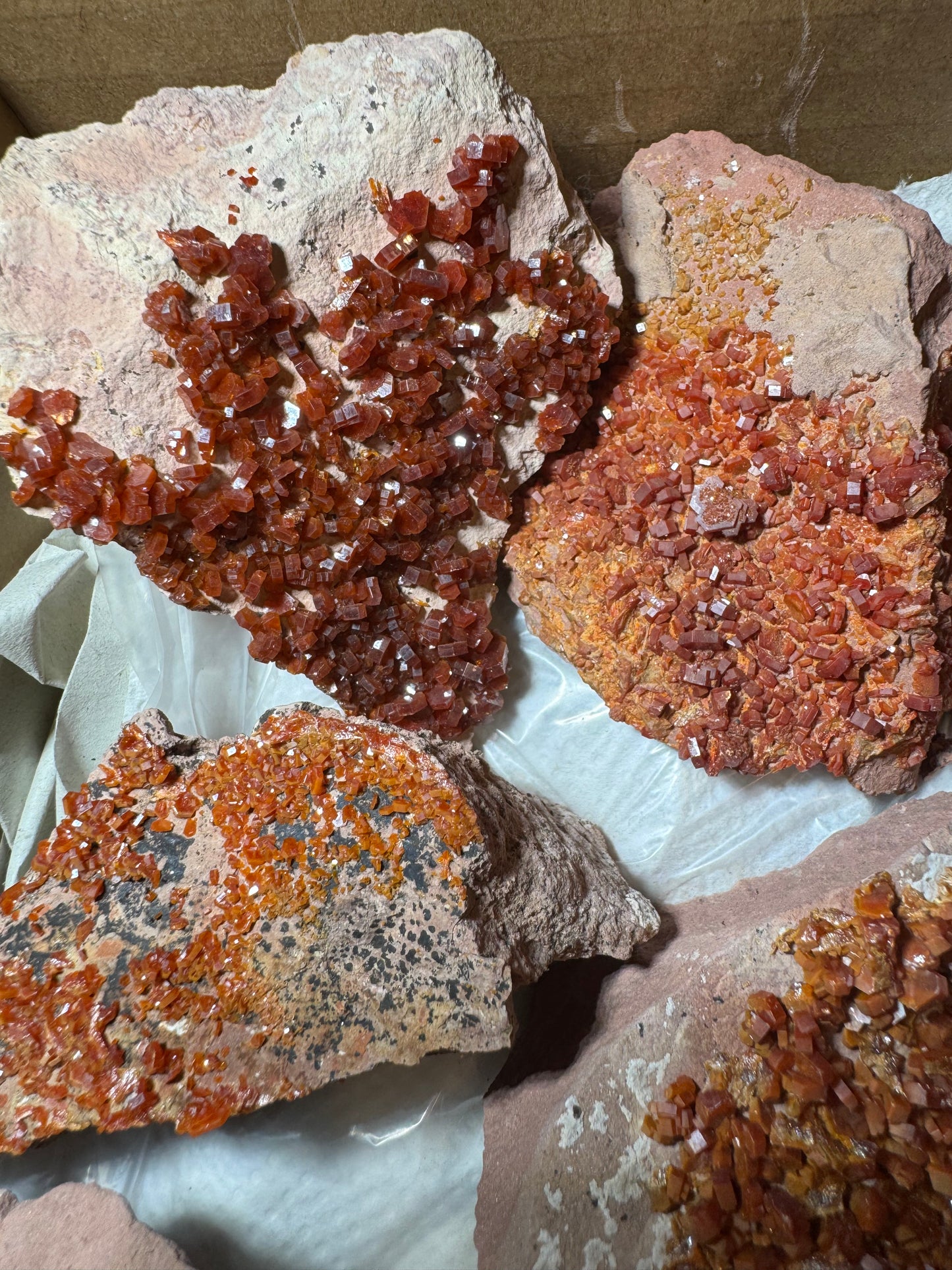 Vanadinite Wholesale flat 11 piece from Morocco