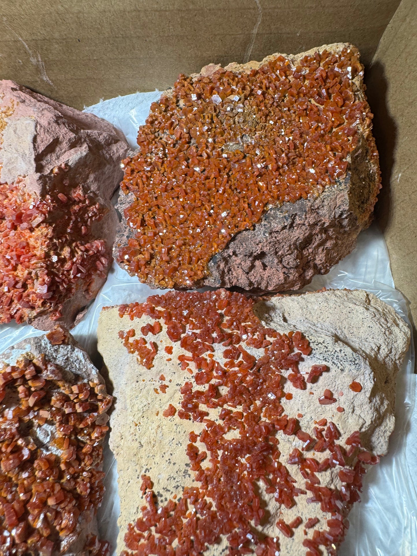 Vanadinite Wholesale flat 11 piece from Morocco