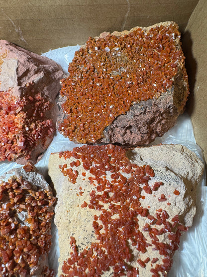 Vanadinite Wholesale flat 11 piece from Morocco