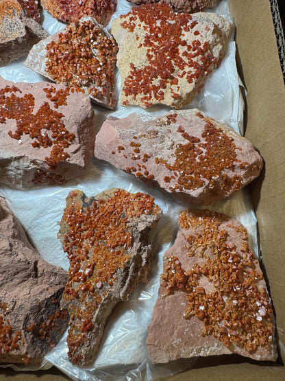 Vanadinite Wholesale flat 11 piece from Morocco