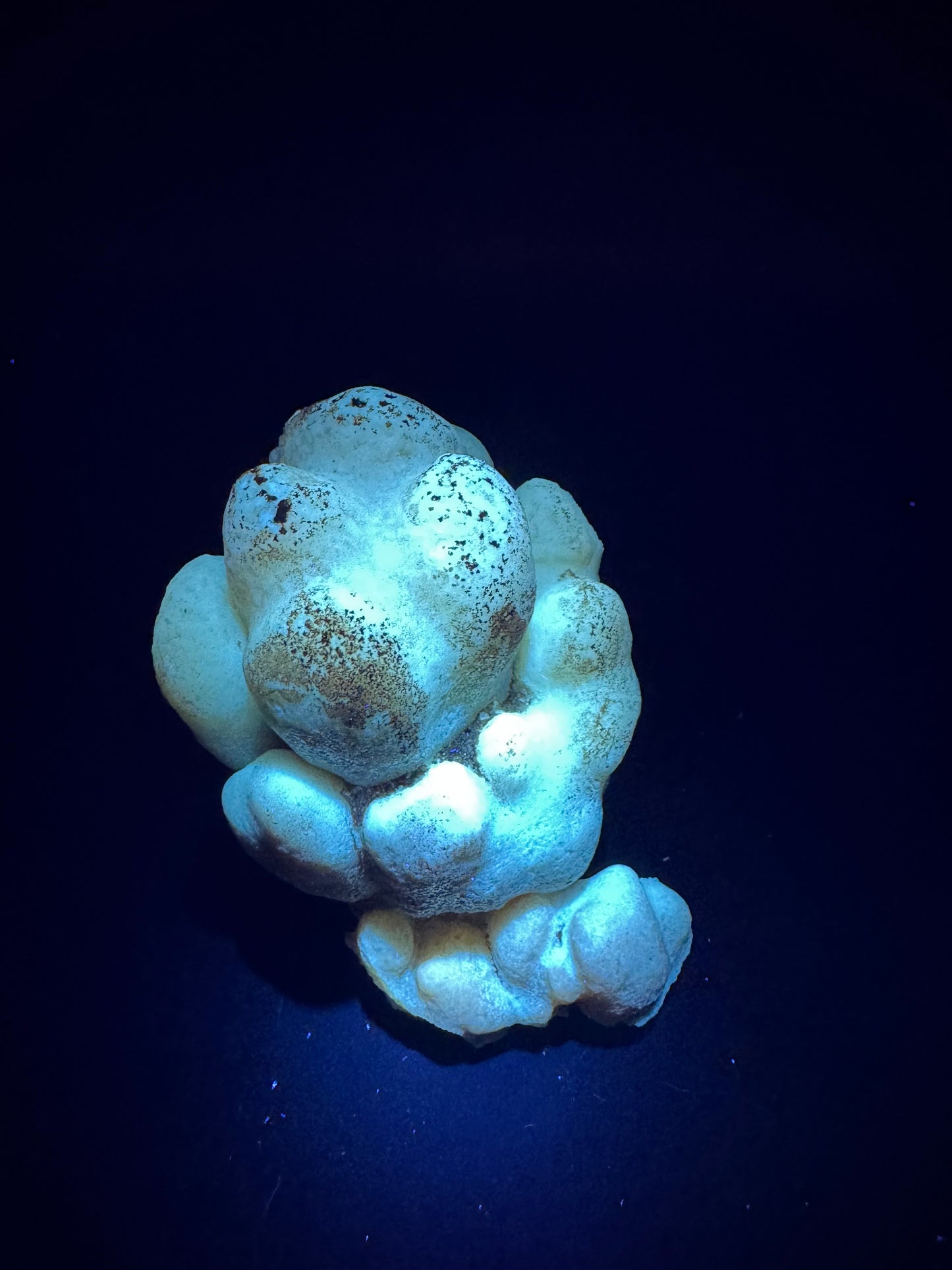 Botryoidal Honey Aragonite - Santa Eulalia, Chihuahua, Mexico 324 g