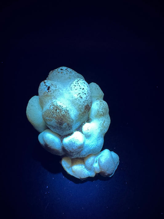 Botryoidal Honey Aragonite - Santa Eulalia, Chihuahua, Mexico 324 g