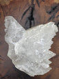 Awesome Fishtail Selenite Laguna del Ray, Coahuila Mex 339 Grams